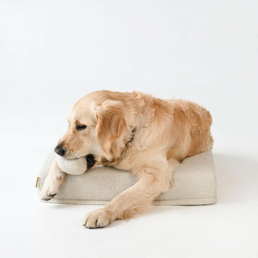 Premium Guoliai Šunims Cookie Milky White | Fluppy Paw 